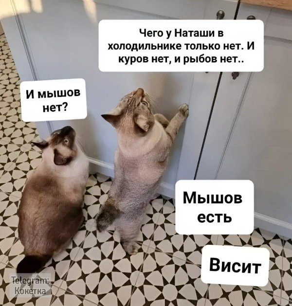 прикольные посты