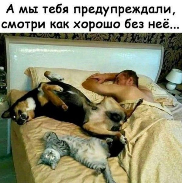 лучшие демотиваторы смешные