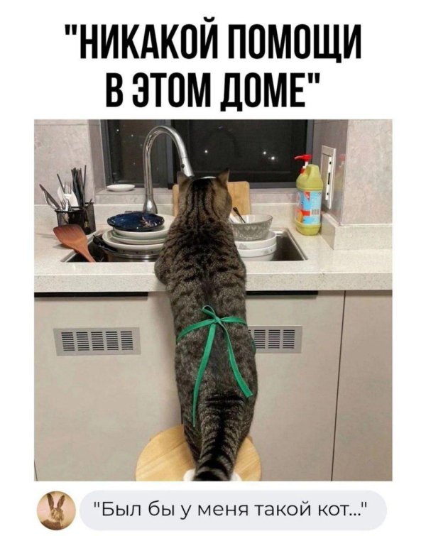 никакой помощи в этом доме