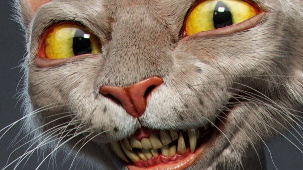 прикольные морды