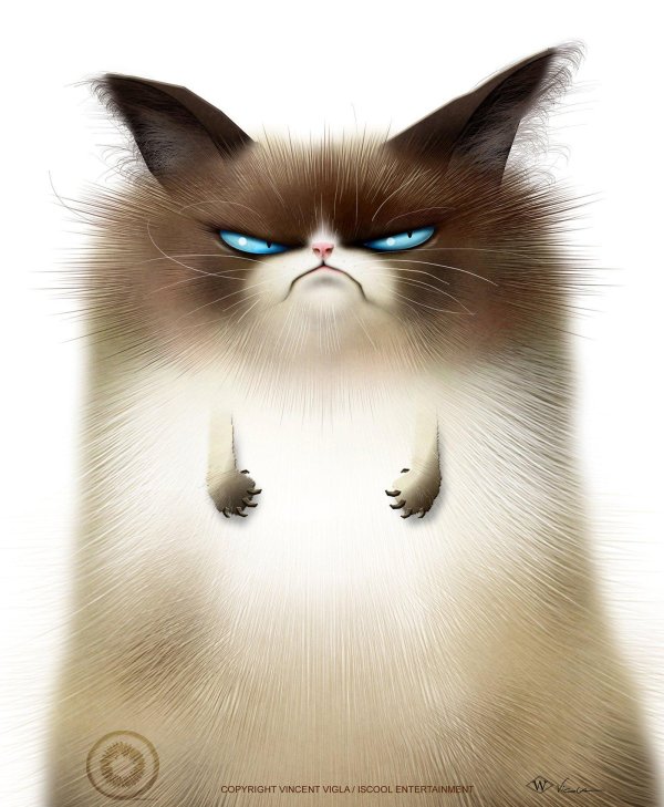 рисунок злого кота