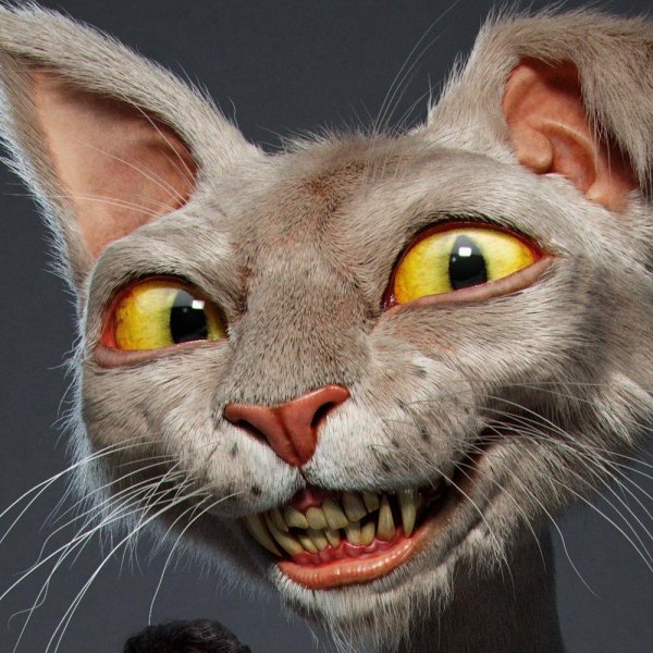 прикольные морды