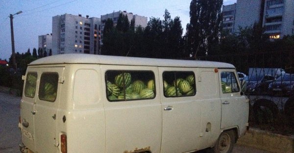 арбуз арбуз