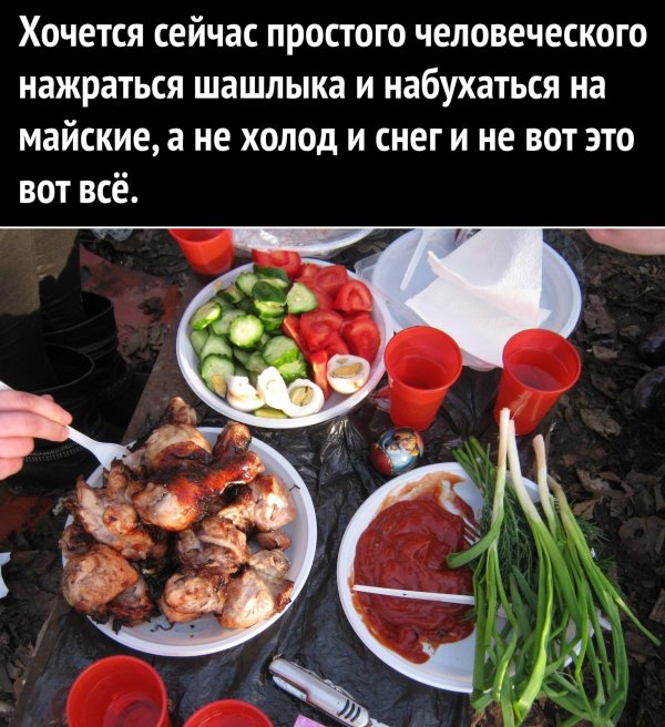 хочется шашлыка
