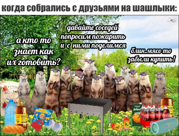 шашлыки природа