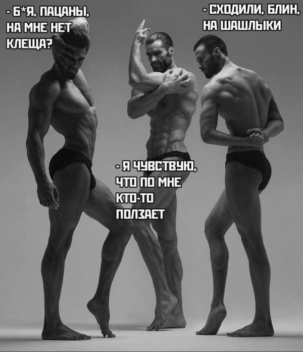 эрнест халимов