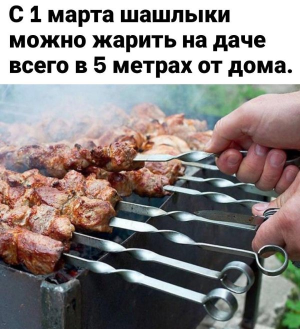 шашлыки на мангале