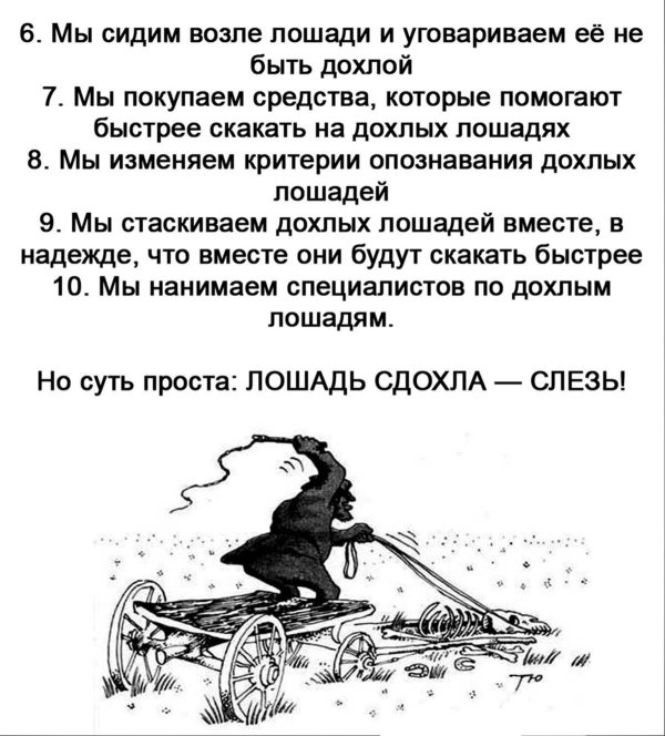поговорка лошадь сдохласлезь