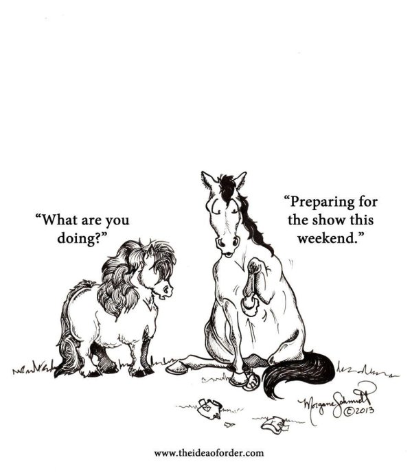 horse jokes