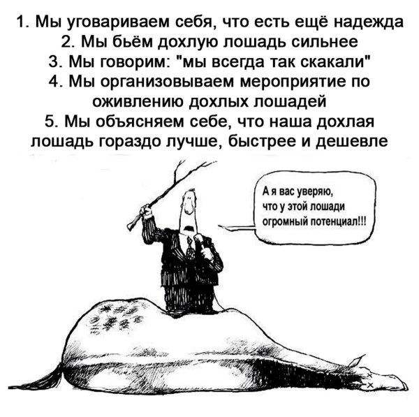 поговорка лошадь сдохласлезь