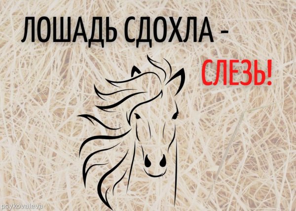 лошади для срисовки