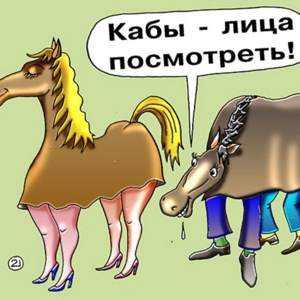 конь карикатура
