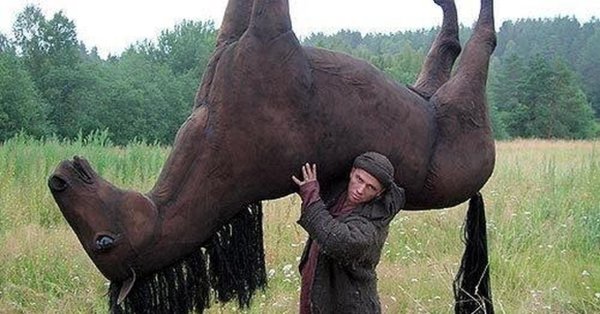 цыгане выкрали коня