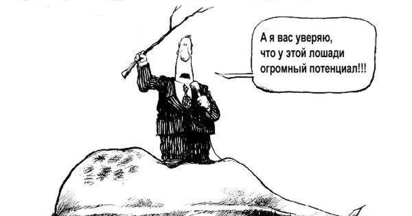 у этой лошади большой потенциал