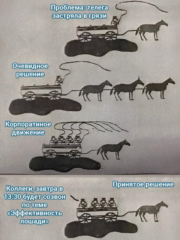 смешные лошади