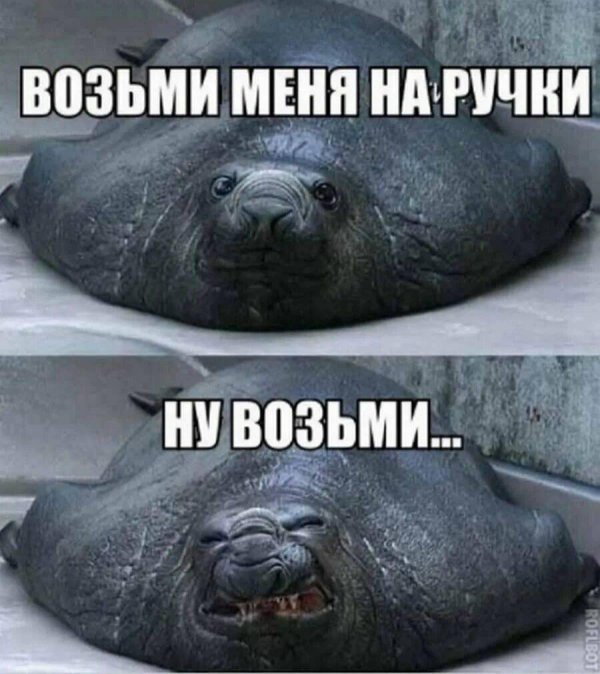 Хочу на ручки