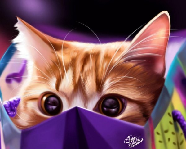 крутые котята
