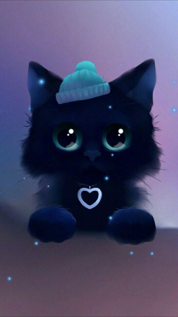 милый черный кот