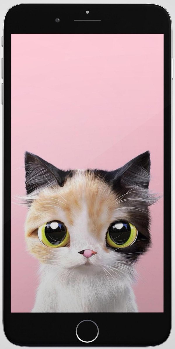 няшные котики