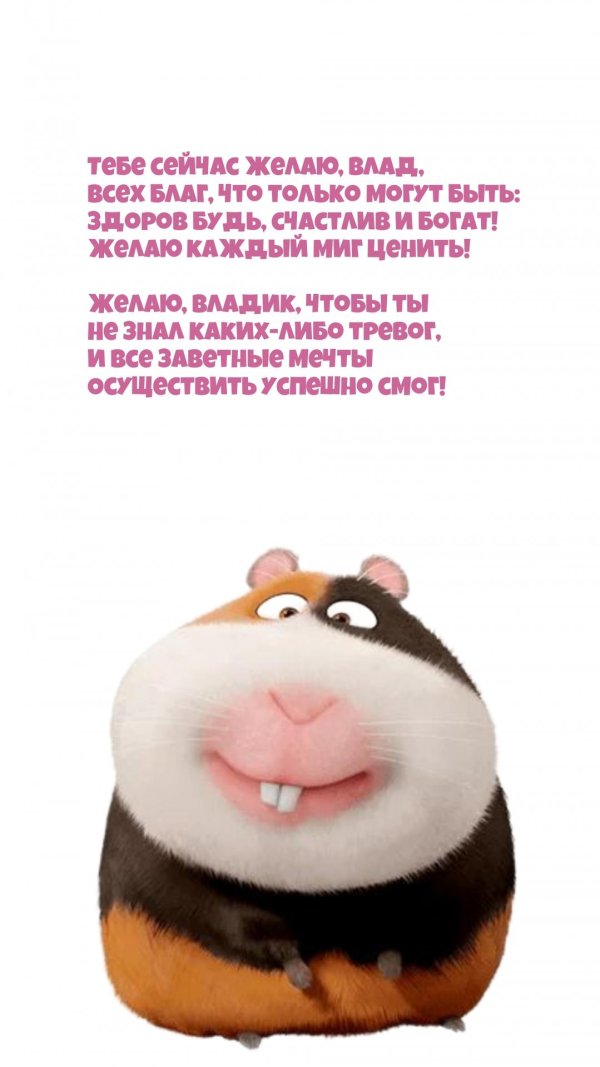 тайная жизнь домашних животных хомяк