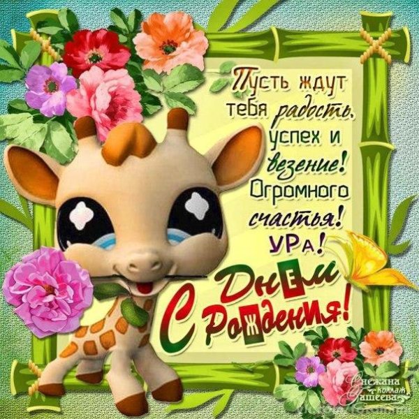 животное жираф