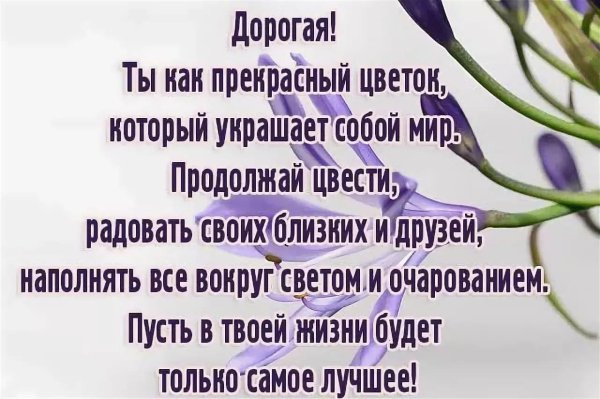 прекрасные цветы