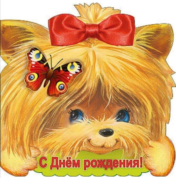йоркширский терьер