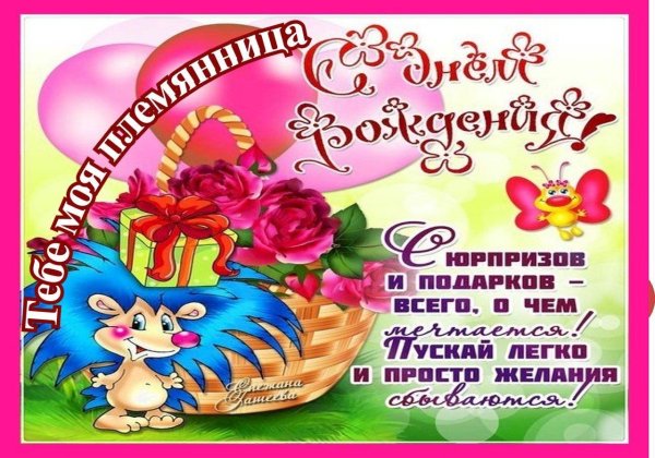с днём рождения племяшке