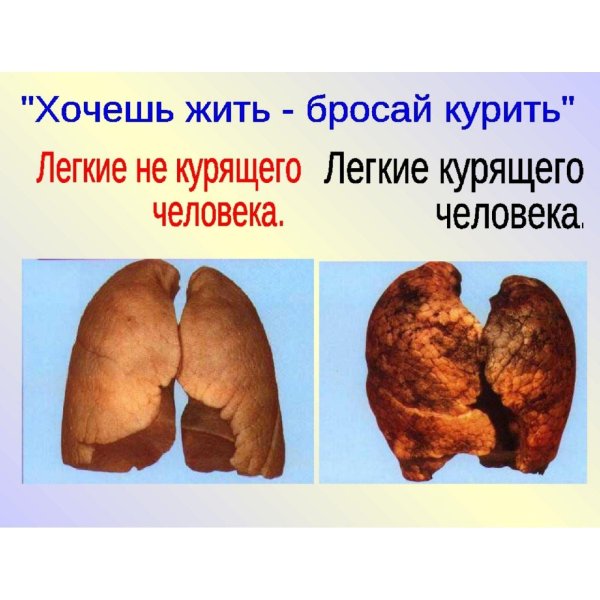 легкие курильщика