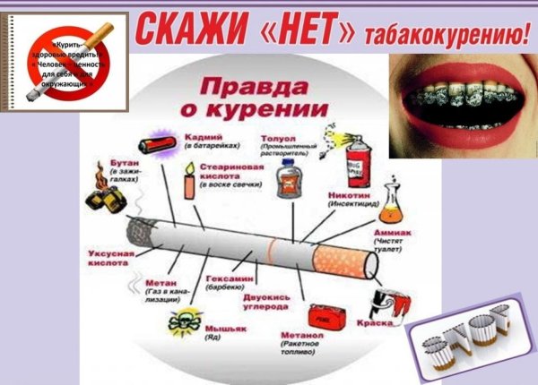 профилактика табакокурения