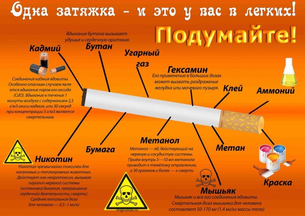 из чего состоит сигарета