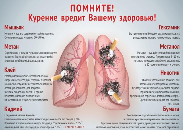 курить здоровью вредить