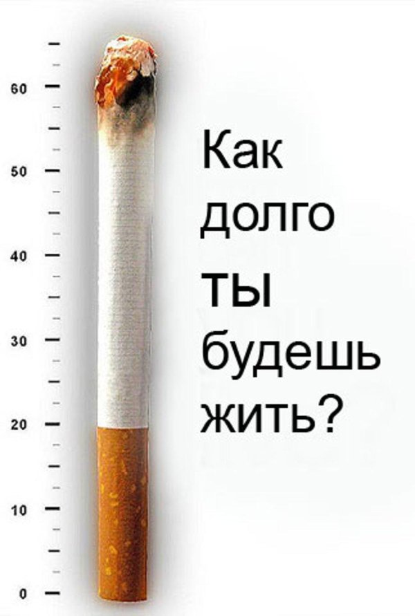 как долго ты будешь жить сигареты