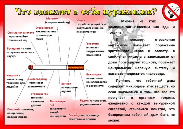 профилактика табакокурения