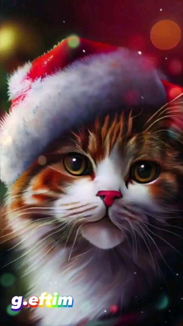 новогодний котик арт