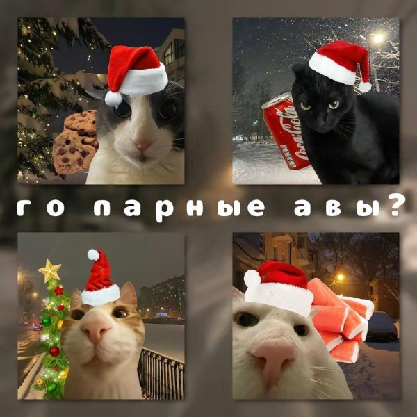 новый год с котами