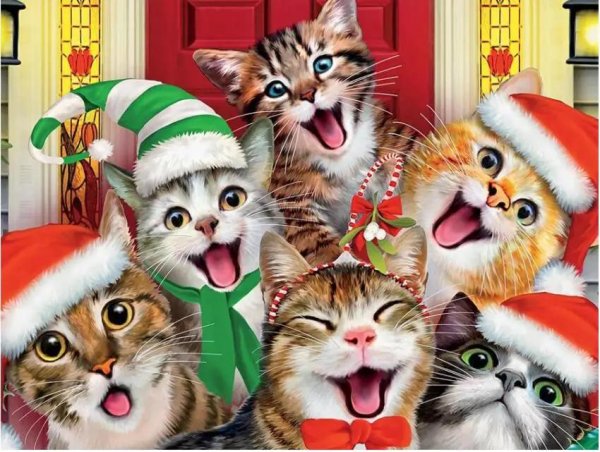 котики на новый год