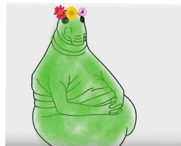 режим ждуна