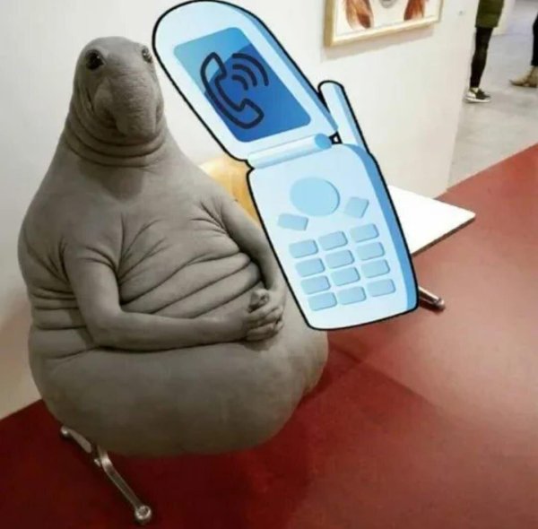 режим ждуна