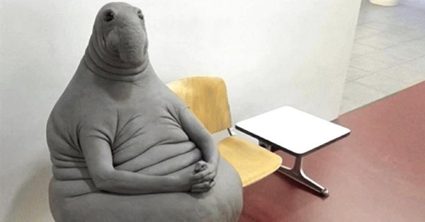 homunculus loxodontus