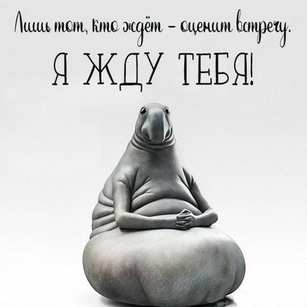 режим ждуна