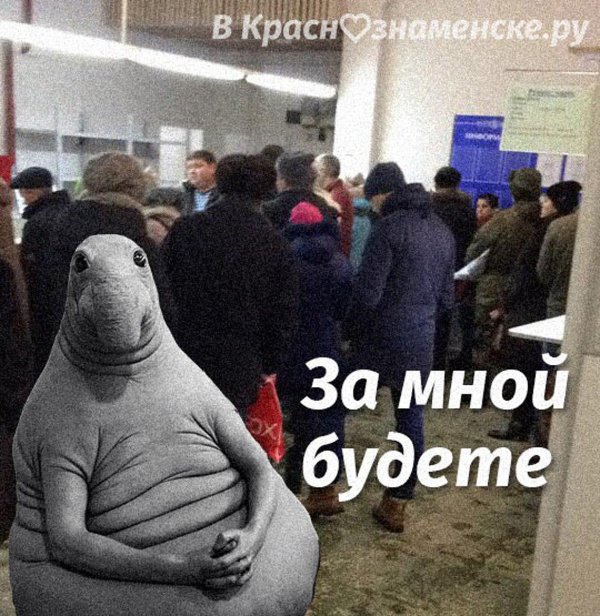 ждуны в очереди