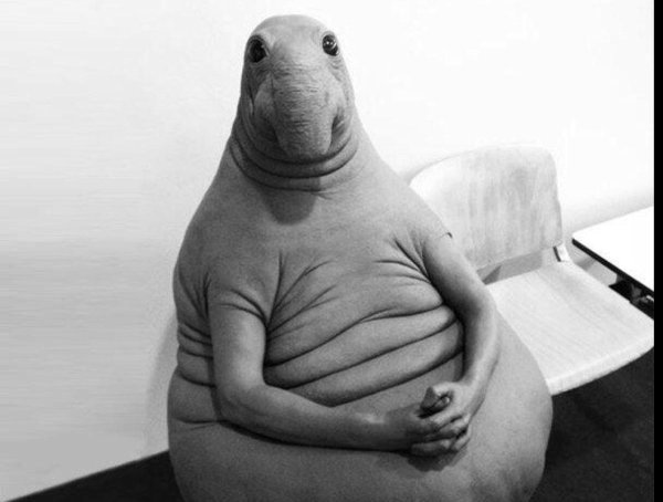 открытка ждун