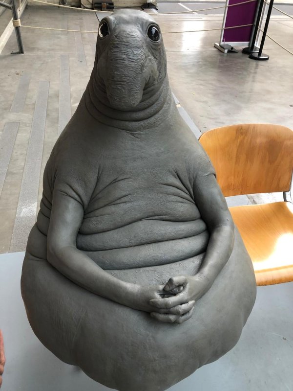 фотографии ждуна