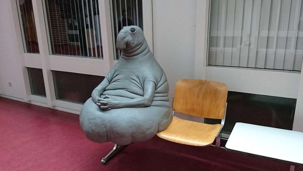 маргрит ван бреворт ждун