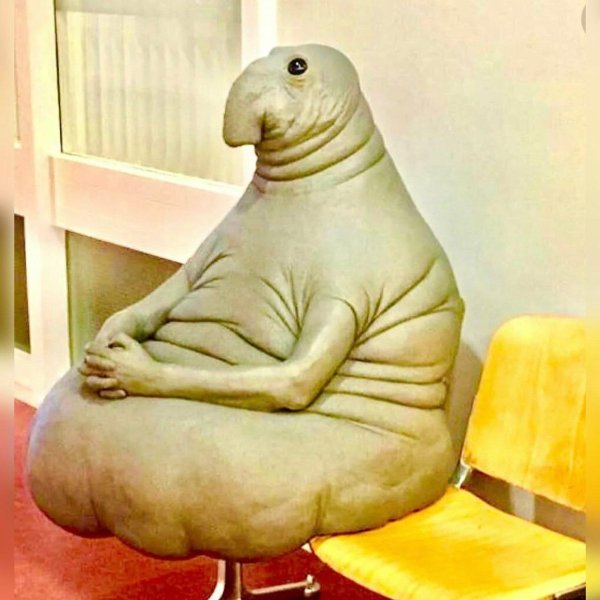 покажи фотографию ждуна