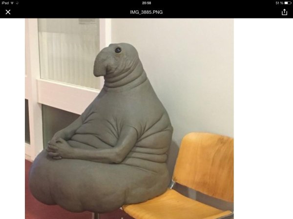 маргрит ван бреворт ждун