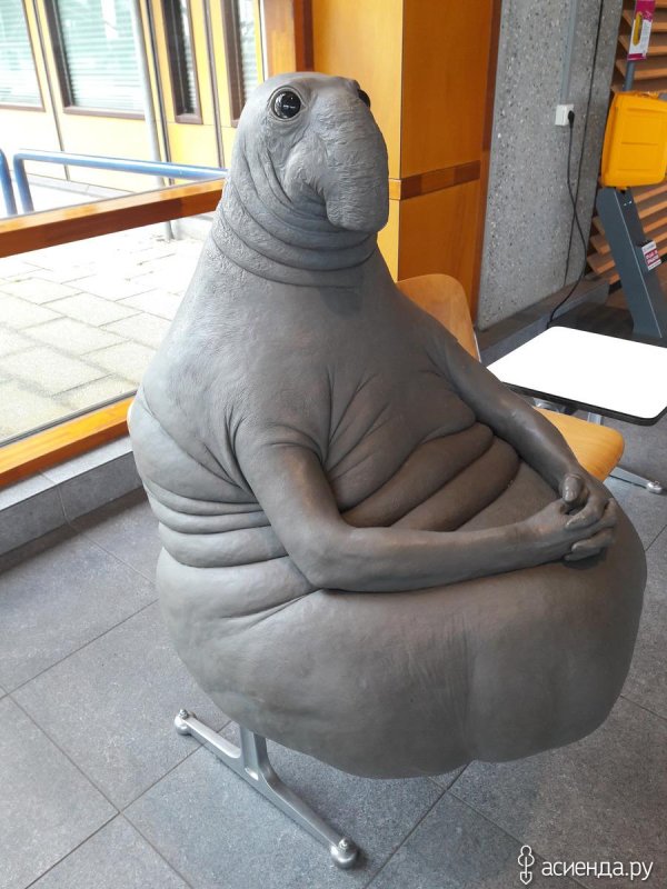 фотографии ждуна