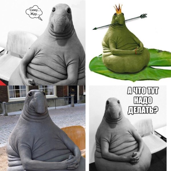 режим ждуна