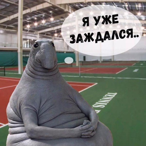 покажи фотографию ждуна